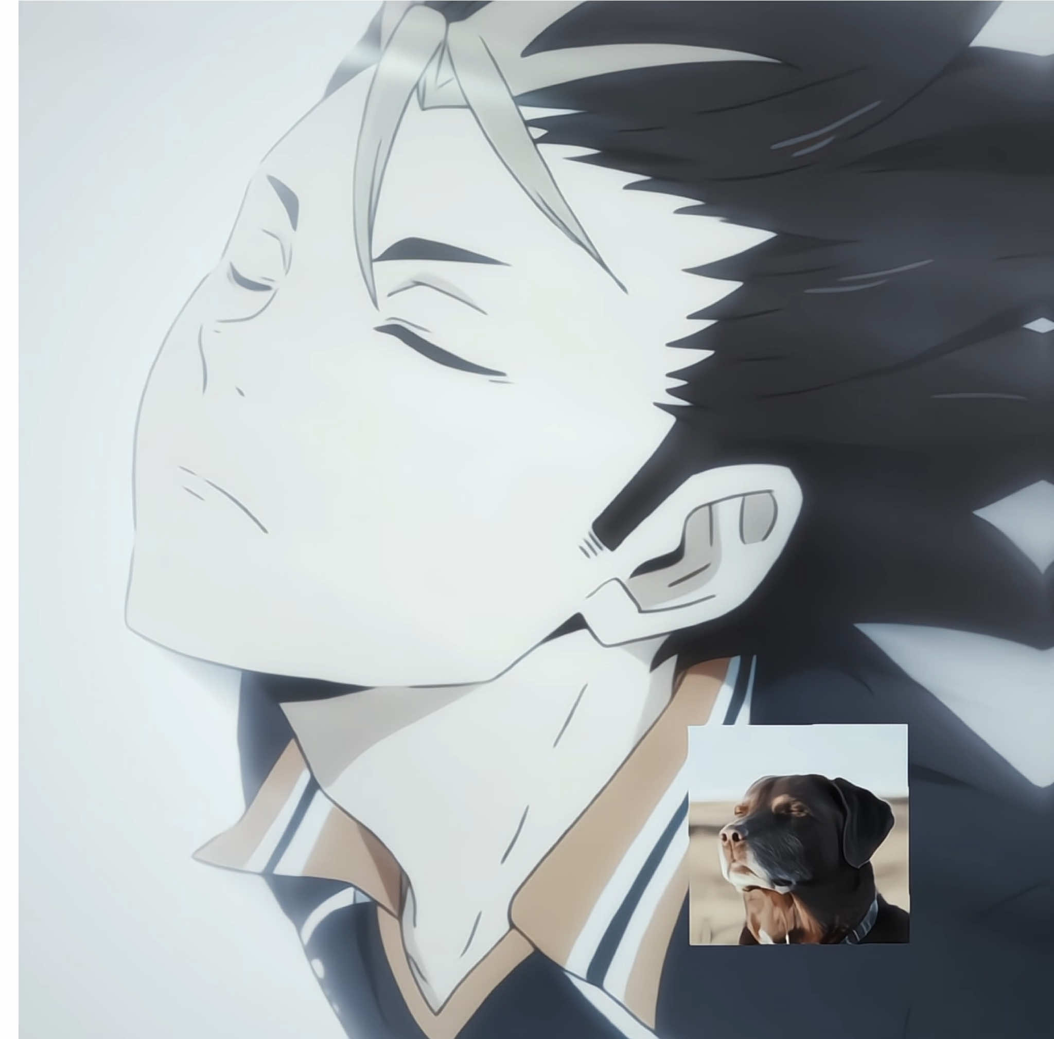 ࣪ ⋆ִ:༊࿐. ｡˚ ° ⊹ #NISHINOYA ★ the way he said ty god is SO addicting for sum reason 👀 // guys help im slowly losing motivation to edit…  ~ TAGS ; [  #nishinoya #nishinoyayuu #nishinoyaedit #nishinoyayuuedit #haikyuu #haikyuuedit #volleyball #vball #sports #sportsanime #sportsanimeedit #manga #myedit #viral #theeditiemal0567 #viralvideo #foryou #flopera #fyppppppppppppppppppppppp #blowthisup #dontflop #foryoupage #fypage #edit #Newtrend #trend #tiktok #fyp #anime #animeedit ] 