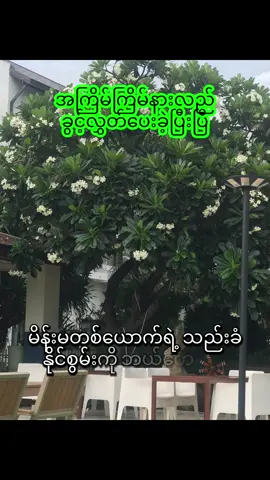 အကြိမ်ကြိမ်နားလည်ခွင့်လွှတ်ပေးခဲ့ပြီးပြီ ၁၅.၇.၂၀၂၅ #fypage #followers #foryou #မြန်မာtiktok😁 #မူရင်းအသံပိုင်ရှင်အားcrdပေးပါတယ် 