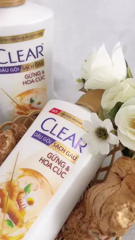 Dầu gội sạchh g.àu , g.iảm ng.ứa hiệu quả. Tậuu liềnn nha mấy mom 🫧 #clear #cleargunghoacuc  #daugoithaoduoc #daugoithiennhien #hoptaccungunilever #sachgau  @Nguyễn Phúc Minh 
