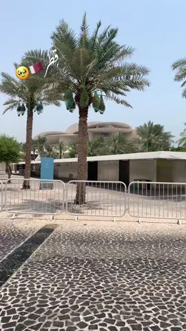 Ameen inshallah  tola de Allah lamyab key 🤲🥺🥀 #viraltiktok #qatar🇶🇦 #foryou #new #account #follow #please #qatar🇶🇦pakistan🇵🇰 #likes 