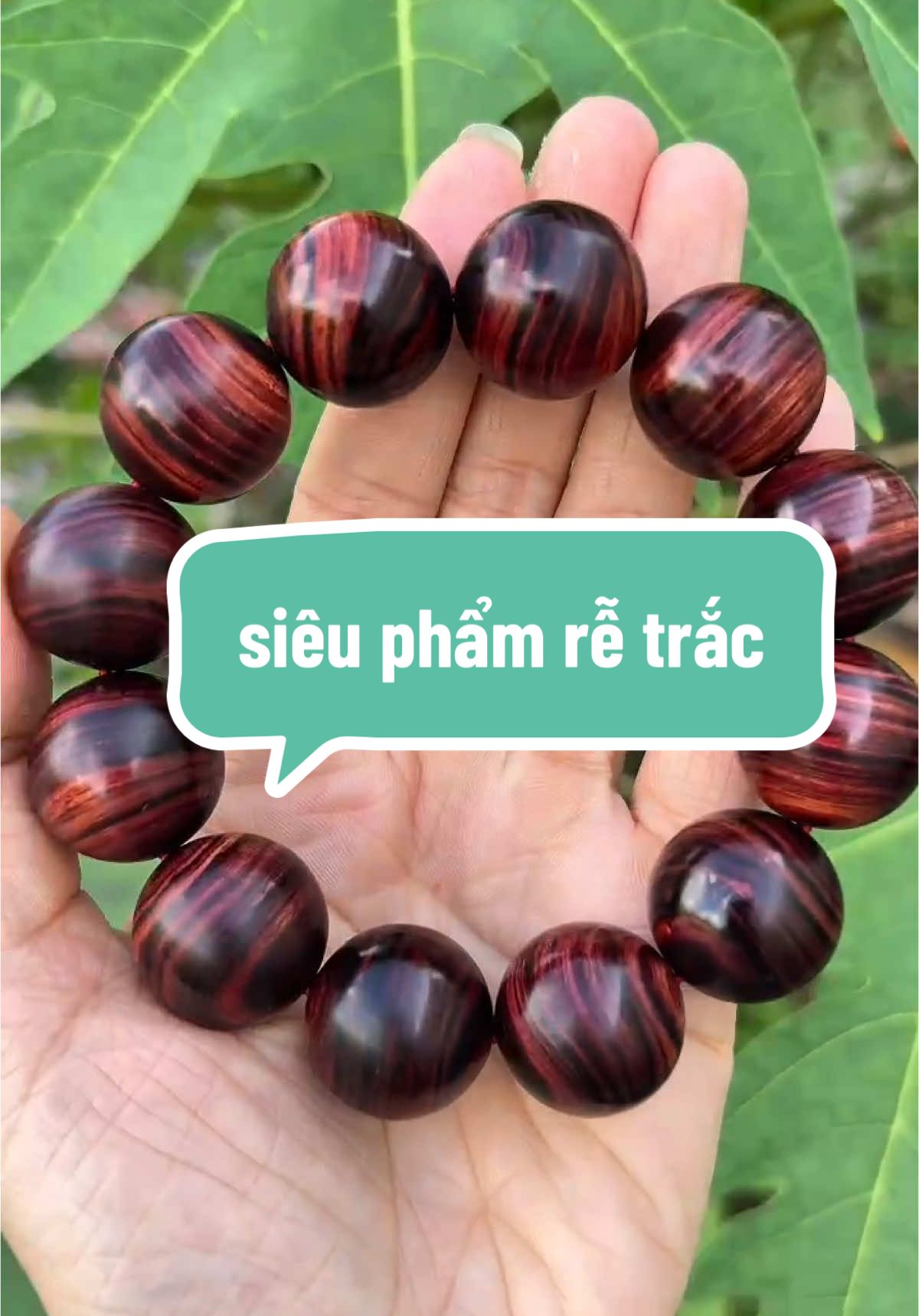 vòng tay 20li gỗ trắc vip #xuhuong24h #thinhhanh #goquytunhien #vongtaygoquy #munsungkhanhhoa #gotrac #nucamchuot #gotrac 