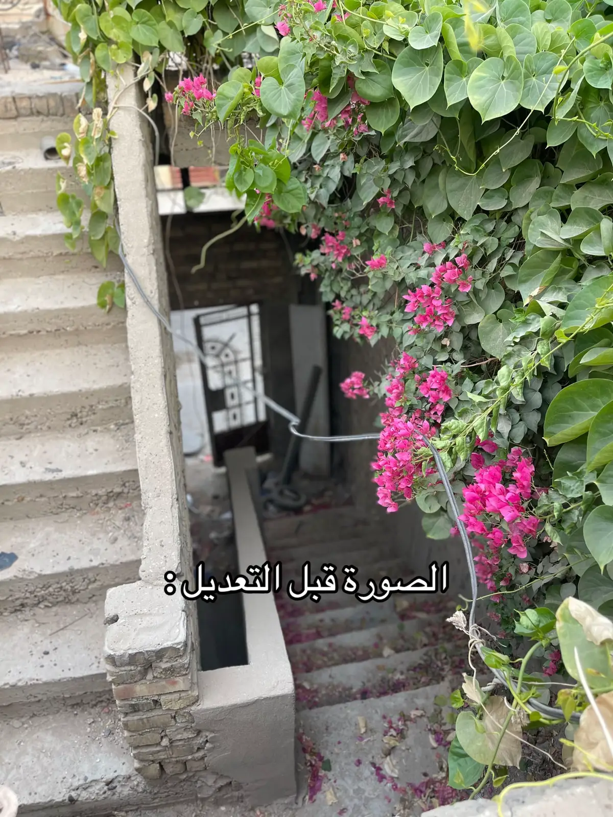 شنو رأيكم؟