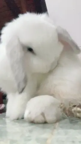 Chon đang bận mà mẹ. 