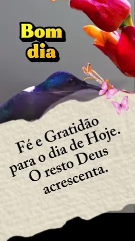 #bomdia #mensagemdodia #fe #gratidao  . . . . #mensagemdebomdia 