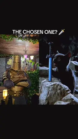 THE...🐱 #kingemiliothearmoredone #kingemilio #medieval #fantasy #knight #knights #knightcore #medievalcore #viral #fyp #foryou #knightcore #medievalfantasy #fantasyarmor #armor #knighttok #knightarmor #kingemiliothearmoredone #knight #knights #medieval #medievaltiktok #medievaltok #fantasy #fantasyarmor #armor #knight 