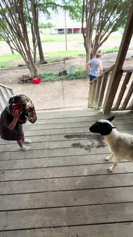 this kid 😂😂  this was NOT my idea! he asked to wear my dirtbike helmet then he went to see what Dede was doing and he did this. #countryboy #allboy #animals #funnyhomevideos #sillyboy #sheep 