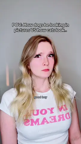 #pov How dogs look in pictures vs how cats look.. 😂 #foryou #acting #funny #relatable #cat #viral #skit 