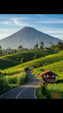 #lakukanlahsemuaitukarnahukumtaburtuauituada #fyp 