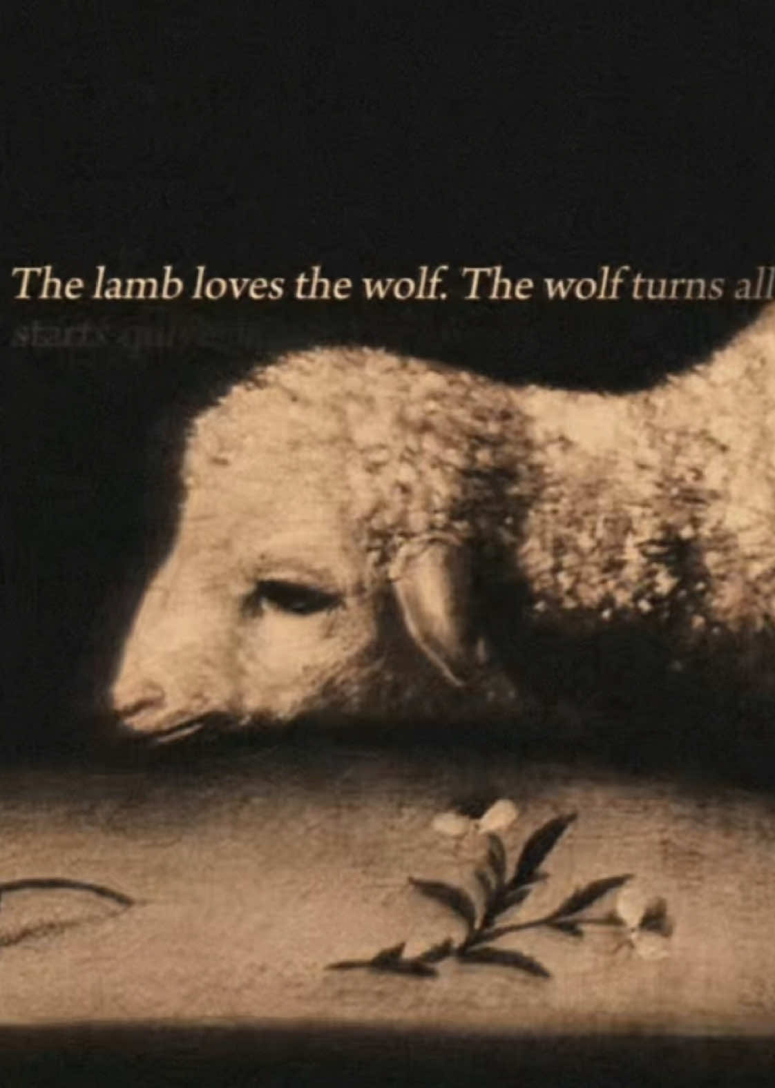 two a.m and im thinking about how i low-key had so much potential to do well in life and i’ve ruined it lol #thewolfandthelamb #lambaesthetic #wolfaesthetic #poetry #wolfedit 