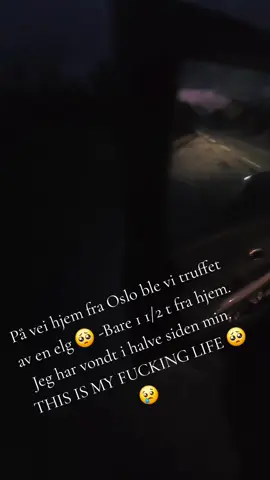 Jeg kjørte på en Elg å med lavere fartsgrense pga værforholdene og andre idioter på veien. Elgen sprang videre heldigvis ❤️ -Nemda ble også ring av hjelpende hånd. Min første ulykke siden jeg fikk førerkortet 24 år siden.