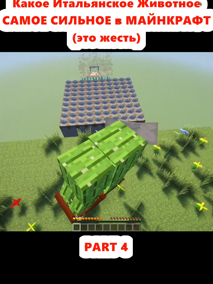 Какое Итальянское Животное САМОЕ СИЛЬНОЕ в МАЙНКРАФТ (это жесть) (4)