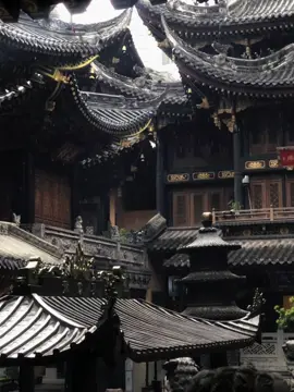 #luctruongsinh 