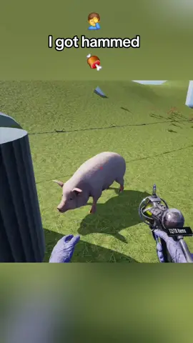 🤦‍♂️ I got hammed 🍖