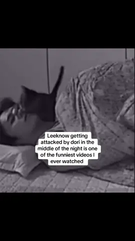 #leeknow #dori #gettingattcked #straykids #stay #skz #fypシ  #moots? #idk #sooniedoongiedori #cats #LEEKNOWWW #⭐️😀