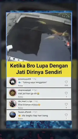 lupa jatidirinya 😂 🐠🐋🐟 #ikankoi #jatidiri #lucu #fyp
