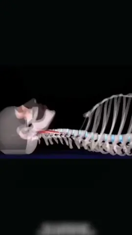 Gối Massage Cổ Đa Năng -Gối Thiết Kế Ergonomic- Giảm Đau Mỏi Cổ Vai Gáy Ngay Tức Thì!