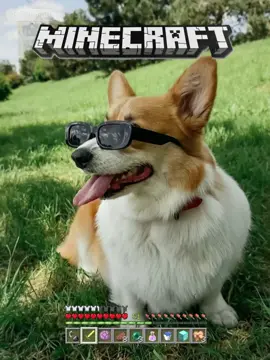 This is so cool, right?😎 #aifilter #capcutforus #capcut #capcutpioneer #Minecraft #pet  #dog #funny #fyp