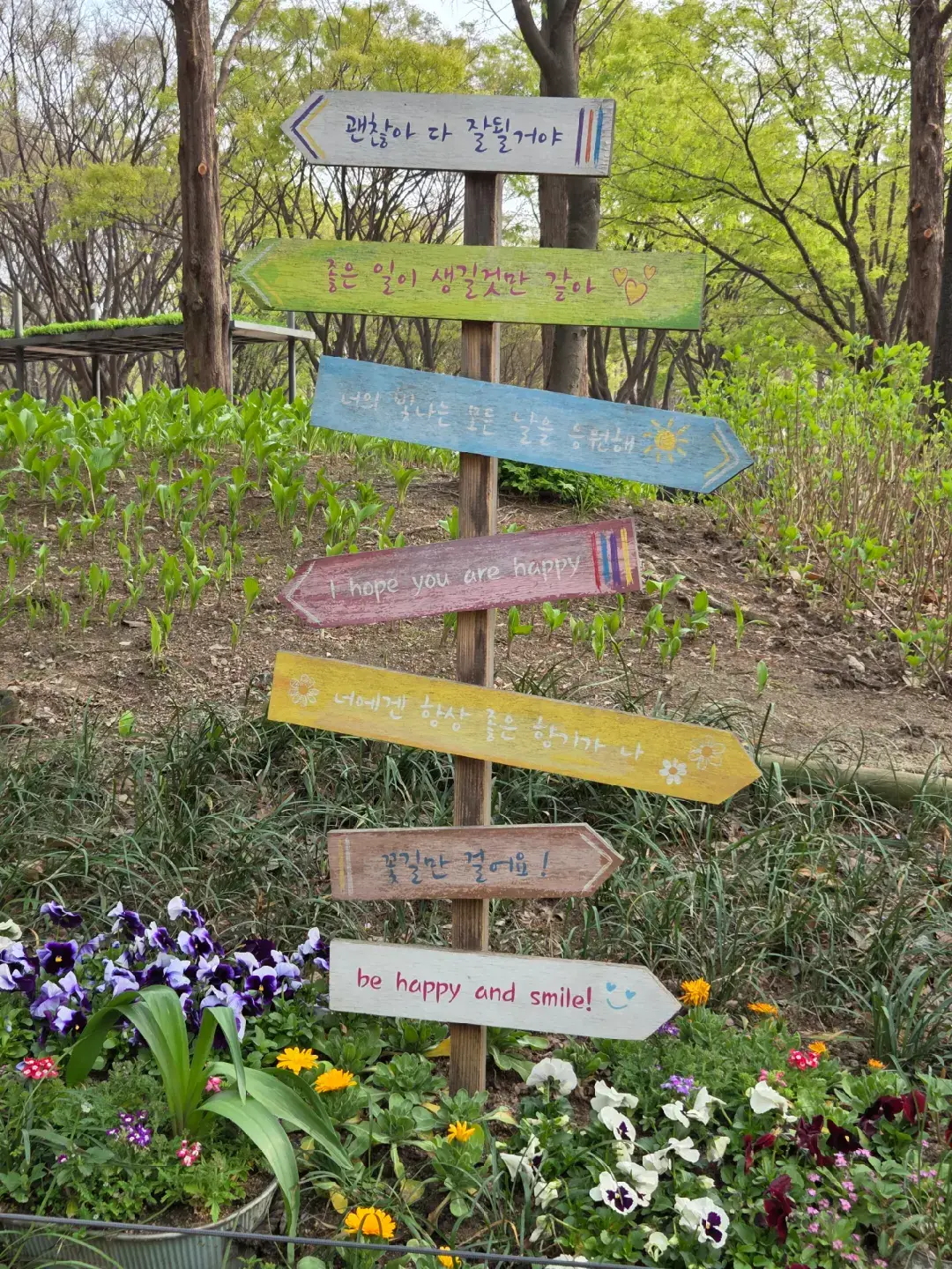 Its always peaceful to walk around Seoul Forest before or maybe after visiting the popular streets of Seongsu #southkorea #PlacesToVisit #thingstodoinseoul #exploreseoul #seoul #seoulforest #seongsu 