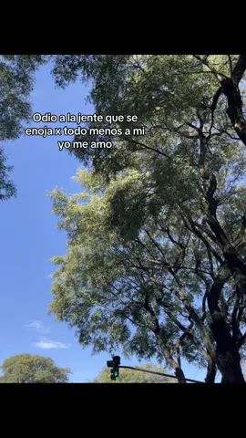 😍#viraltiktok #videosparahacer