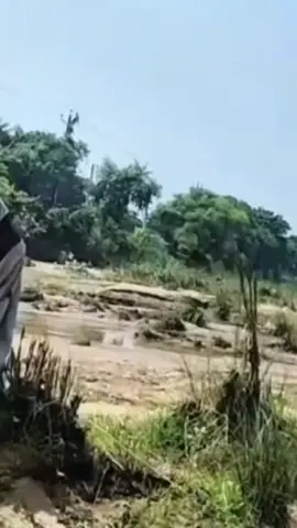 Vải tự nhiên nhé #xuhuong #xuhuongtiktok #miendatphat #hanhdauda #thayminhtuemoinhat 