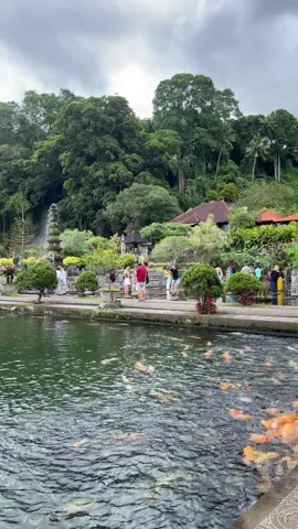 #bali #tirtagangga #karangasem 