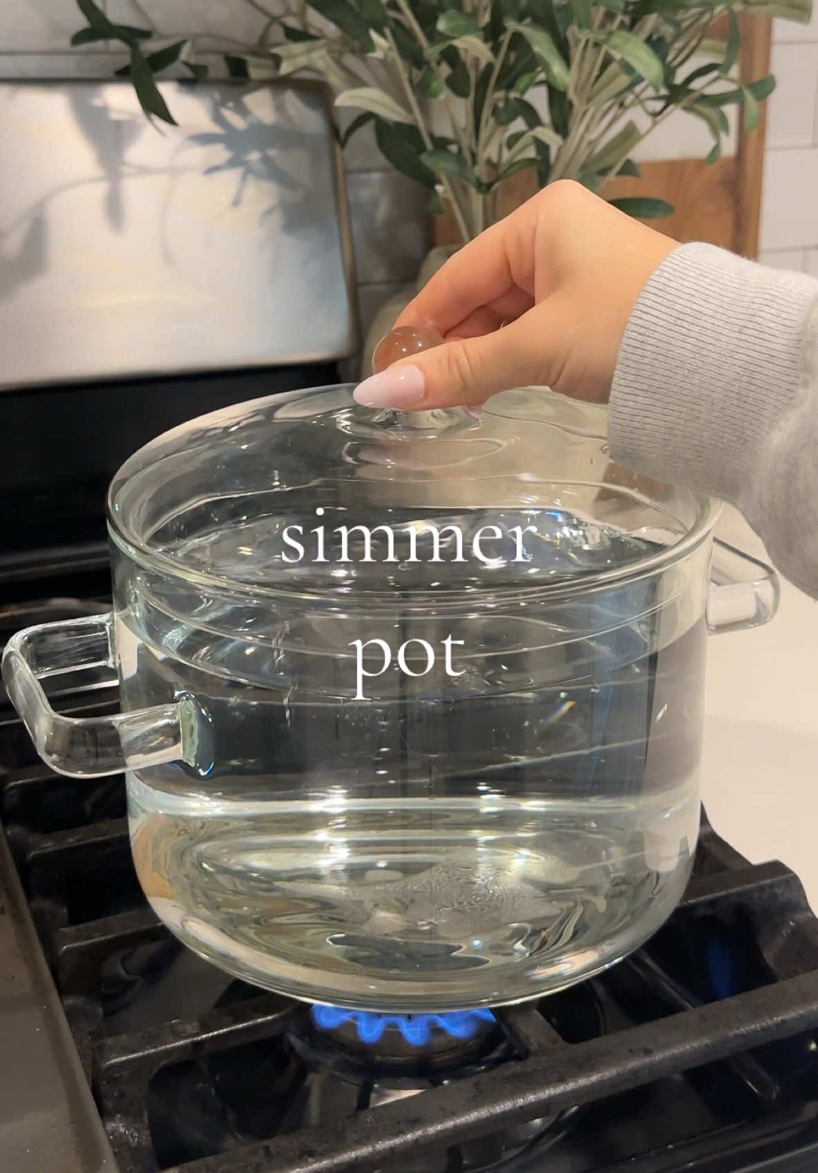 tropical fruits on the stove and the house smells amazing🥥🌴💦 #asmr #organized #simmerpot #organizedhome #Summer 