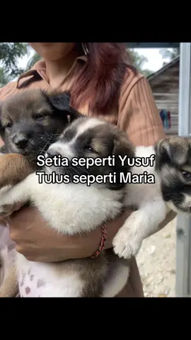 Haleluya 😇#Kristen #anakkristen #quoteskristen #pemudakristen #gombalankristen 