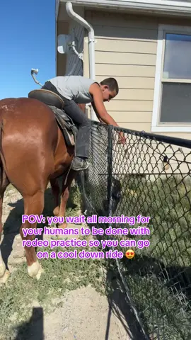 No weenie dogs were hurt in the making of this video 😂 #weenidogsoftiktok #weenidog #minidaushund #minidachshundsoftiktok #rodeokids #rodeodaysarethebest 