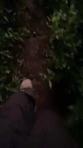 golden sunrise panderman🫶#pendakigunung #panderman#fyp 