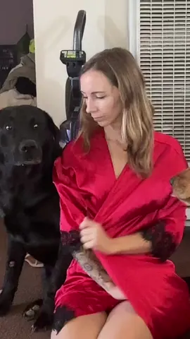 This has been sitting in my drafts, and damn it, it made me miss him. He was such a lover. #petloss #pets #dogs #labradors #markieasked 