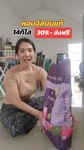 14กิโล ข้าวหอมจัสมิน แท้ 100% ข้าวหอมจัสมินถุงม่วง ข้าวใหม่ข้าวนิ่มมาก#ข้าวหอมจัสมินแท้100%#ข้าวหอมจัสมินตราบัวจัสมิน#ข้าวหอมจะกินถุงม่วง#ข้าวสารราคาโรงสี #tiktokshop 