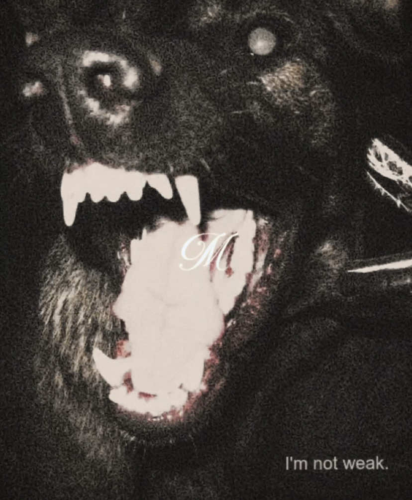 two sides of the same coin. #michaelcrist #emoryscott #devilsnightseries #fyp 