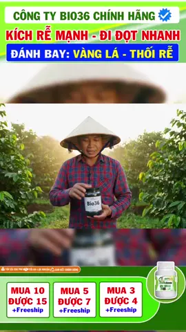 🌿 3 thìa thôi – Rễ bung, cây khỏe, đọt bật nhanh! 🍈 1 thìa bung rễ trắng 🍈 2 thìa xanh cây dày lá 🍈 3 thìa phát triển mạnh mẽ 📌 Mình để sản phẩm chính hãng trong giỏ hàng rồi nha, bà con vào xem thêm nhé!#Bio36 #CâyCàPhê #tiêu #sầuriêng #fyp #caphe #NongDanThongThai 