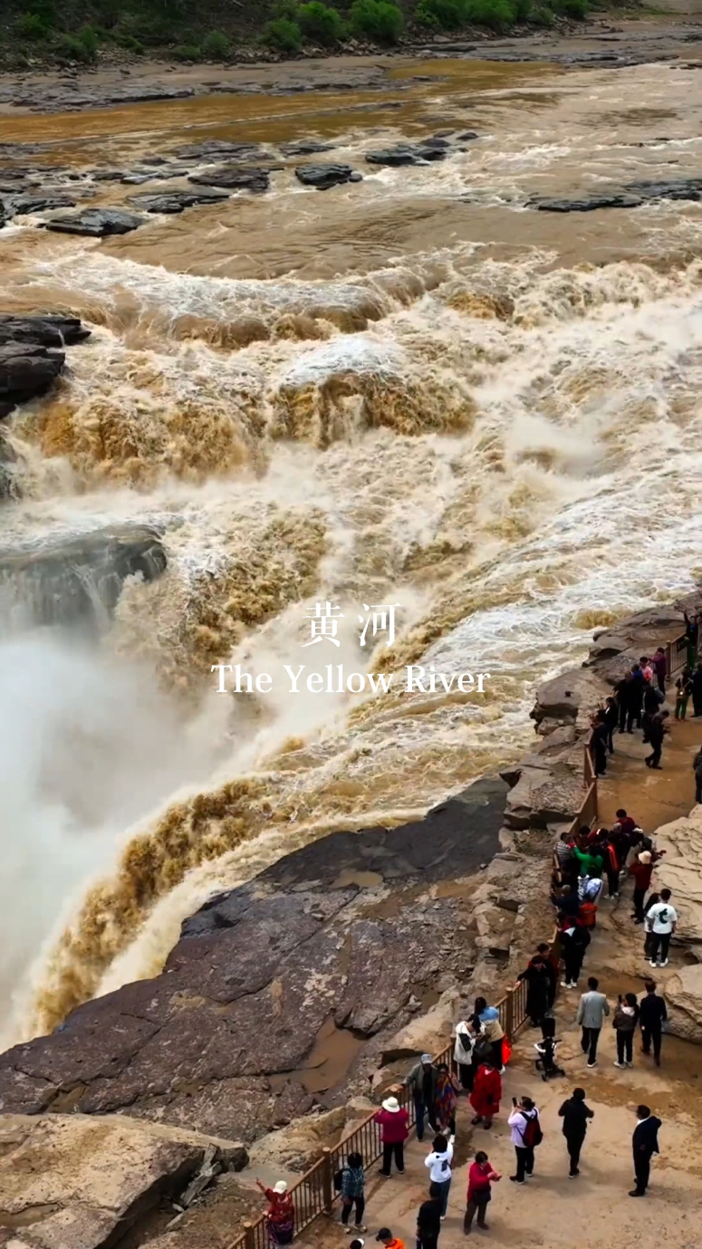 君不见，黄河之水天上来！ #Theyellowriver #wolink  #ChinaNature #NaturalWondersOfChina #fypppppppppppppp #NoFilterChina #ExploreChina #NatureLovers #TravelDiaries #LandscapePhotography #ChinaBeauty #Chinatravel #NatureCinematography #travel #sunsetlover #fyp #tiktoktravel #VisitChina #ChinaTourism #TravelGoals #WanderlustAwaits #ExploreAsia #travelbucketlist #fypppppppppppp #fyp 