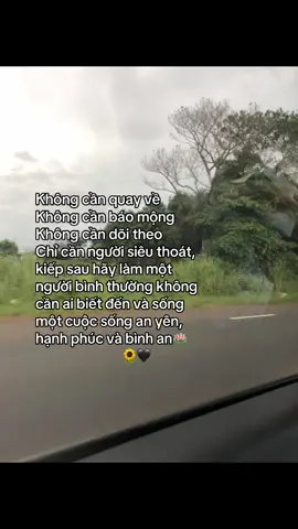 mong người vạn dặm bình an!🌻🖤#phantronggduong33 #trongduong33 #td🤍 #xuhuongtiktok #zyxcba 