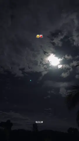 Part 24. දැනෙන වේදනා වචනයෙන් කියා ගන්න බෑ පන මගේ...!🥺❤️‍🩹 #viralpage #fouryou #fuyppppppppppppppppppp #trend #bootwadan #boot #stetus #fyppppppppppppppppppppppp 