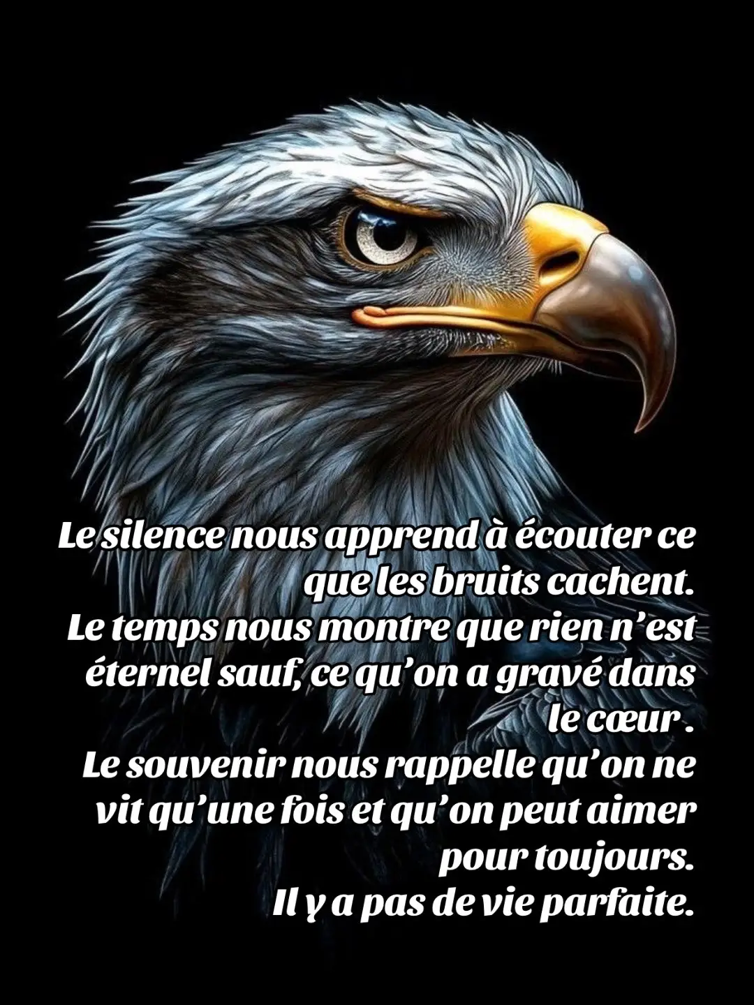 Il y a pas de vie parfaite.