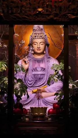 Lễ Khánh Đản Bồ Tát Quán Thế Âm tại Chùa Địa Tạng Phi Lai Tự 🙏🏻 #diatangphilaitu #chuadiatangphilai  #dieudan  #quanam 