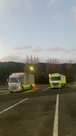 Tsuki ga kirei desu ne