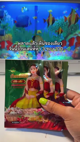 😮☺️🌿🌿#ว่านเสน่ห์หา #ว่านเสน่ห์หาบ้านแก้วใส #สมุนไพรว่านเสน่ห์หา #สมุนไพรว่านเสน่ห์หาบ้านเเก้วใส 