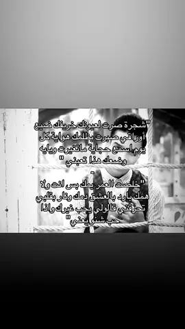 #كالولي_يحب_غيرك #امير_عصام