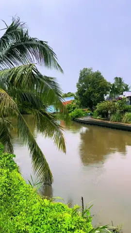 Chill  #chill #lofi #68kiengiang #kiengiang #canhqueyenbinh #mientayquetoi #canhdep 