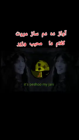 #دمسازمروت😘😭🙏💖💖 #محیب-#وزیر