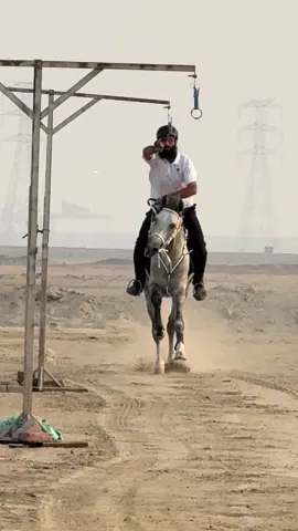 #خيل_وخياله🐎 #قطر #الاتقاط_الاوتاد #السعودية #الكويت 