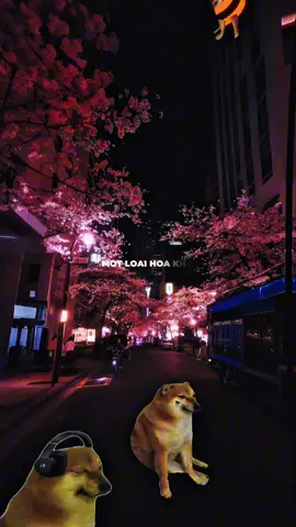 MOT LOAI HOA KHAC BIET!! #nhunglayla #sontungmtp #cheemsvuituoi 