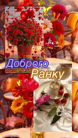 #доброгоранку🌈🌈☀️☕️☕️☕️♥️♥️♥️💕💕💕💕💕 #🎼❤️🌹✌️💝☕️🦋🦋❤️🌹💝 