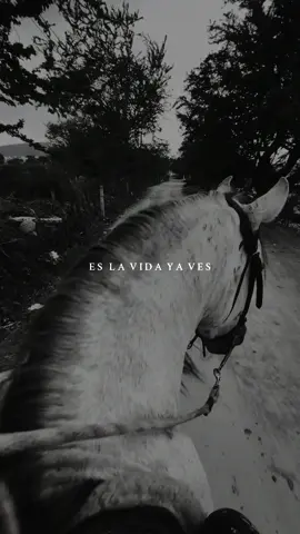 Es la vida… #porti #tiktok #joansebastian #mx #fyp 