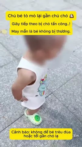 Ba mẹ ơi, đừng lơ là khi con ở gần vật nuôi nhé!😰 #CảnhGiácVớiTrẻ #antoànchobé 