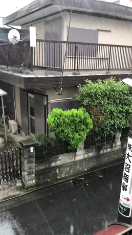 Rainy day today in Kawasaki Japan due to the typhoon. 🥹🙏 #japan #japanweather #japantyphoon #titavlogger #rainsound #rainsoundsasmr 