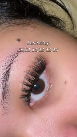 #lashes #vivilashes #lashclusters #lashtok 